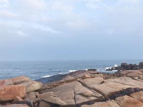 吃瓜海角黑料传媒,真相与争议并存